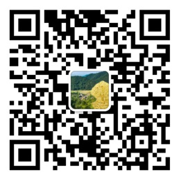 网信彩票平台登录